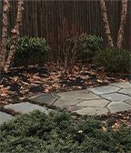 Photo Feb 12, 10 16 03 AM_thumb